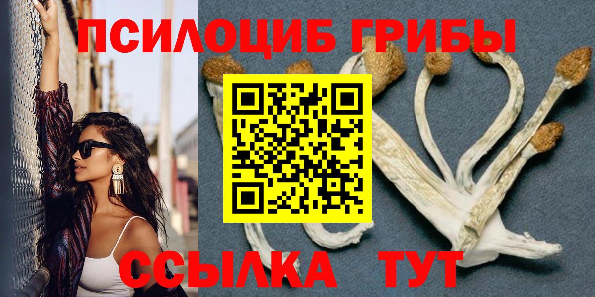 Псилоцибиновые грибы прущие грибы Миллерово